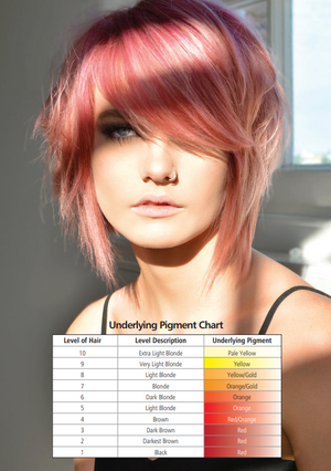 Hi Lift True Shades Demi Permanent Colour Chart